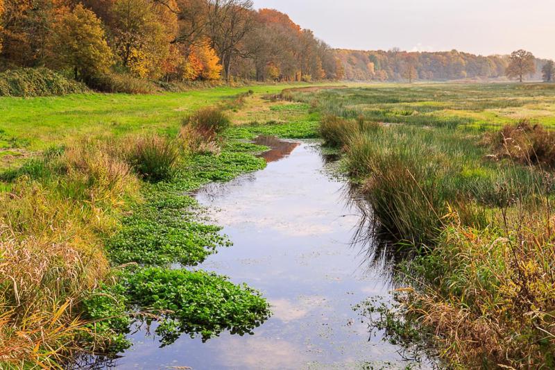 Vila Chalet Veluwe Wageningen Exteriér fotografie